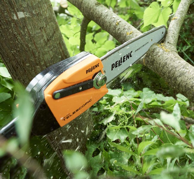 Pellenc Selion Telescopic EVO T175/225