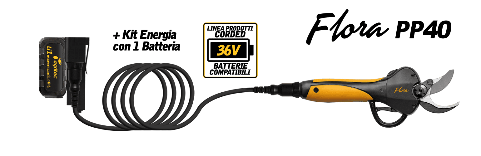 Flora PP40 serie IV Professional Premium con Energy Kit (1 batteria)