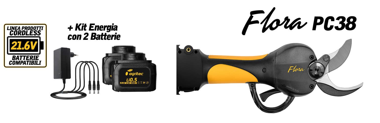 Flora PC38 Cordless con Energy Kit (2 batterie)